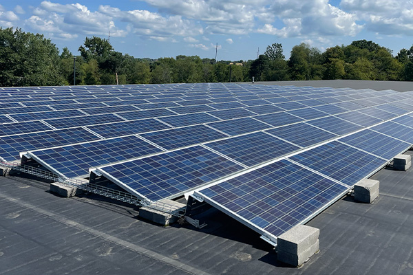 Commercial solar project for Big Dutchman improving energy efficiency with reliable renewable power for business operations.